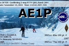 AE1P-202111131454-20M-RTTY